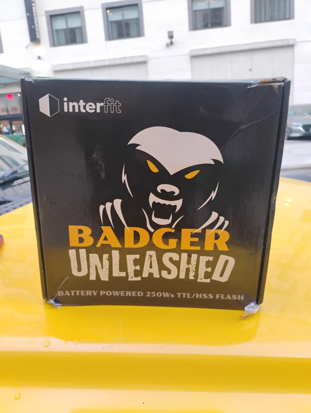 Interfit Badger Unleashed 250Ws TTL/HSS Flash Kit