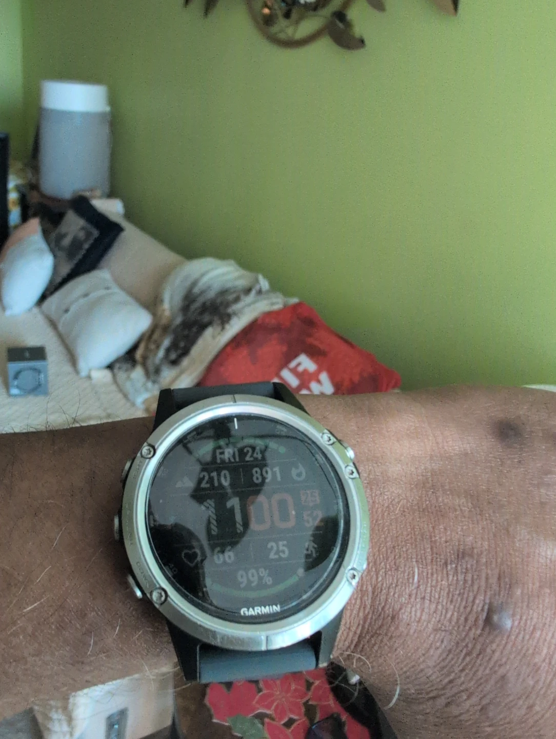 Garmin Fenix 5 plus