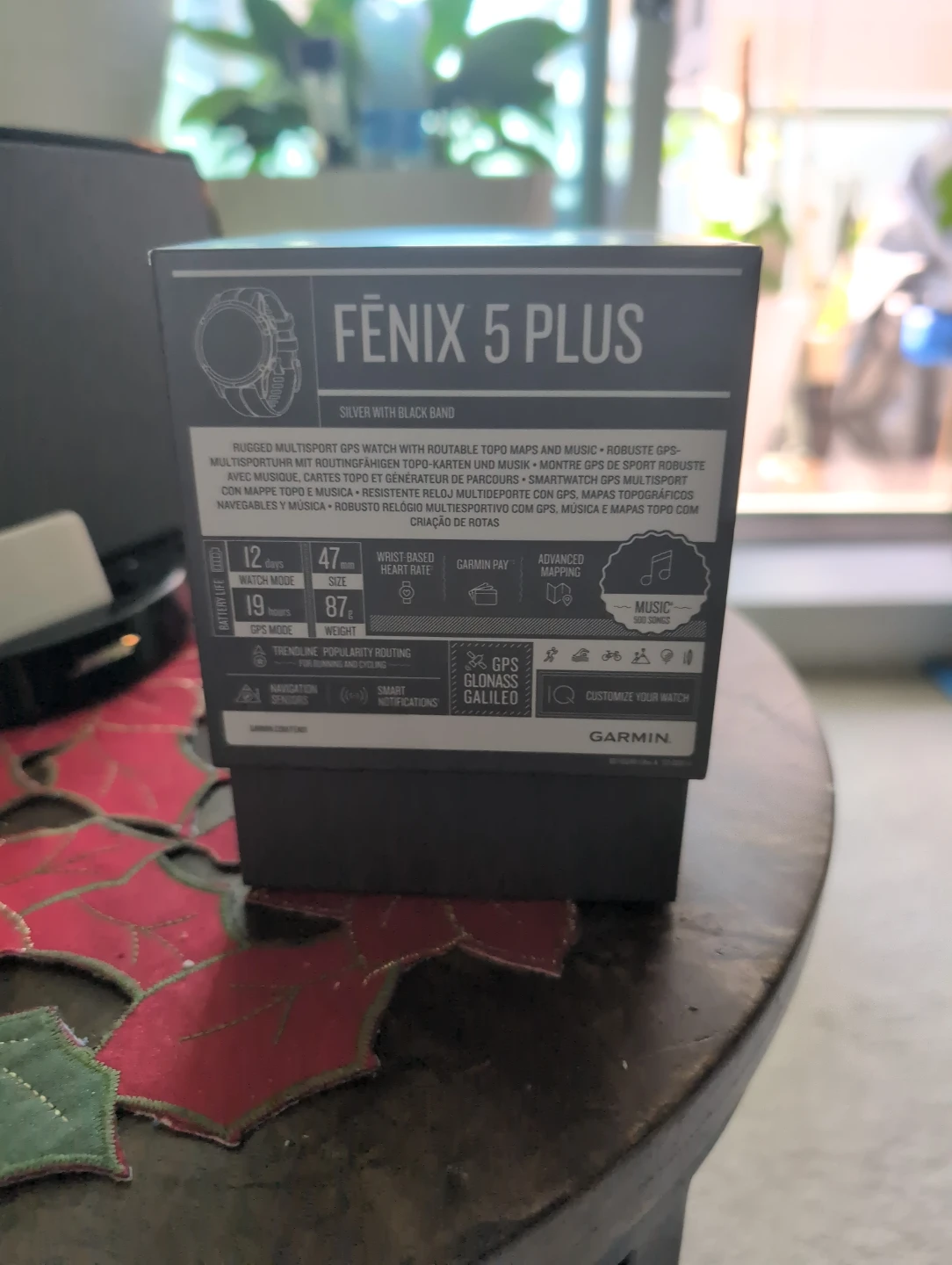 Garmin Fenix 5 plus - photo 3