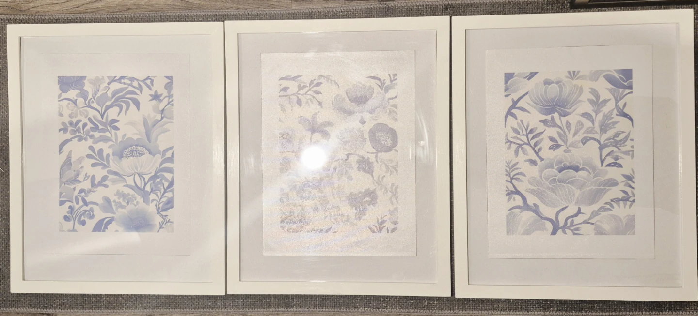Set of 3 Framed Botanical Print on Canvas Wall Art