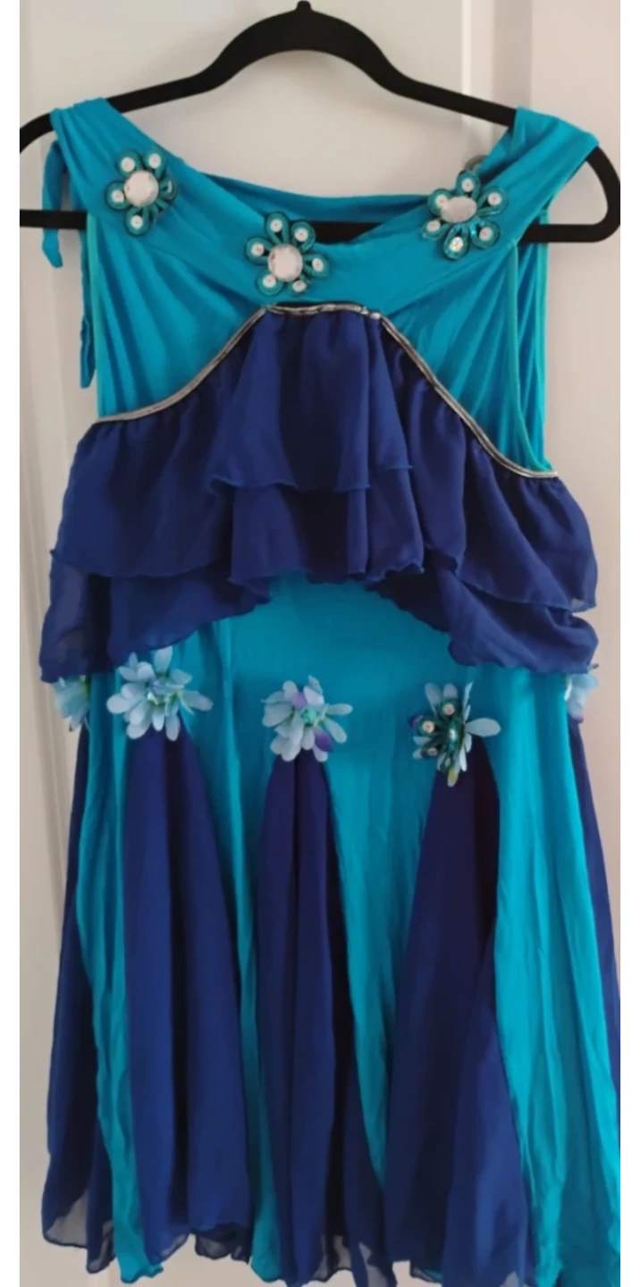 Belly Dance Costume Set - Bra and Skirt - photo 3