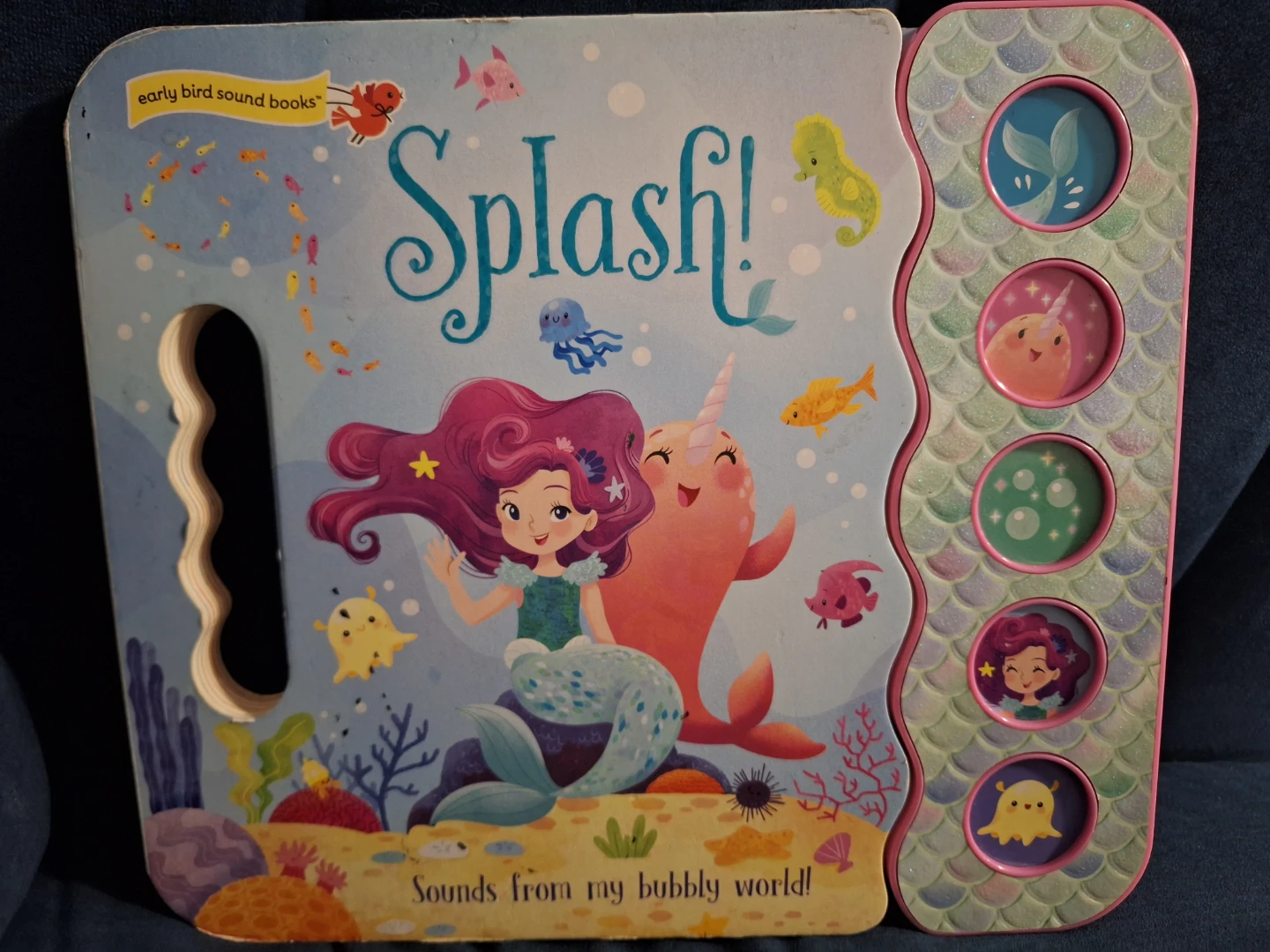 Splash! Sound Book