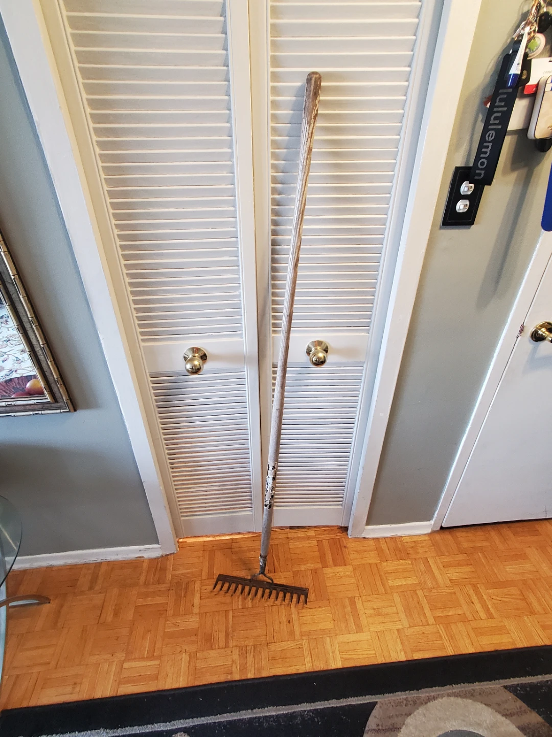 Garden Rake With Wooden Handle