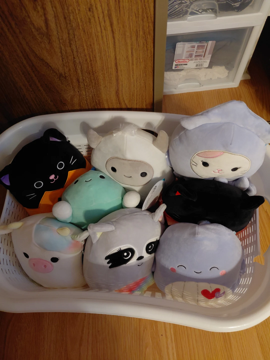 Squishmallows Plush Toys Assortment