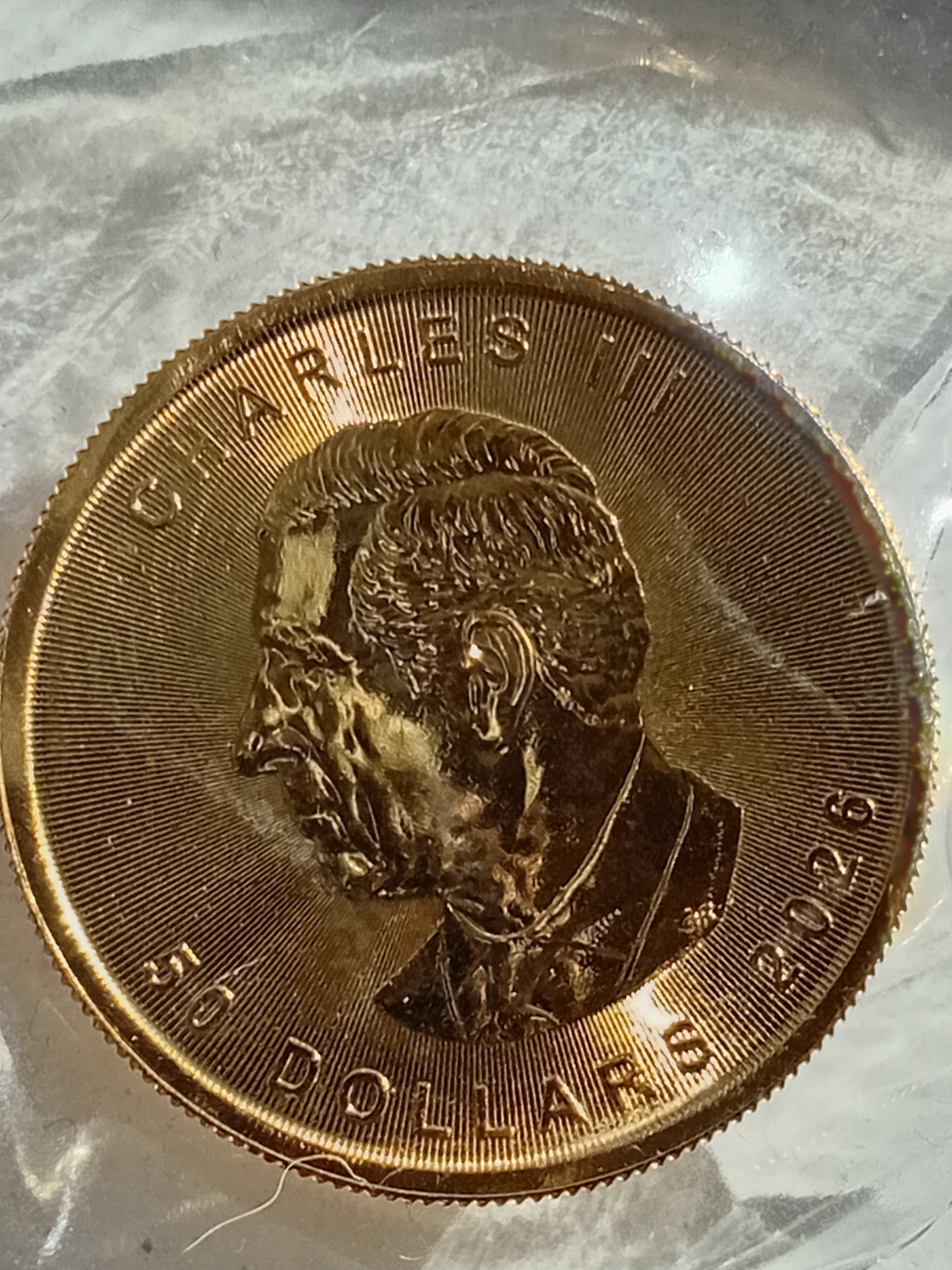 2026 .9999 canadian maple leaf 1oz gold and 1/10oz gold coins - photo 2