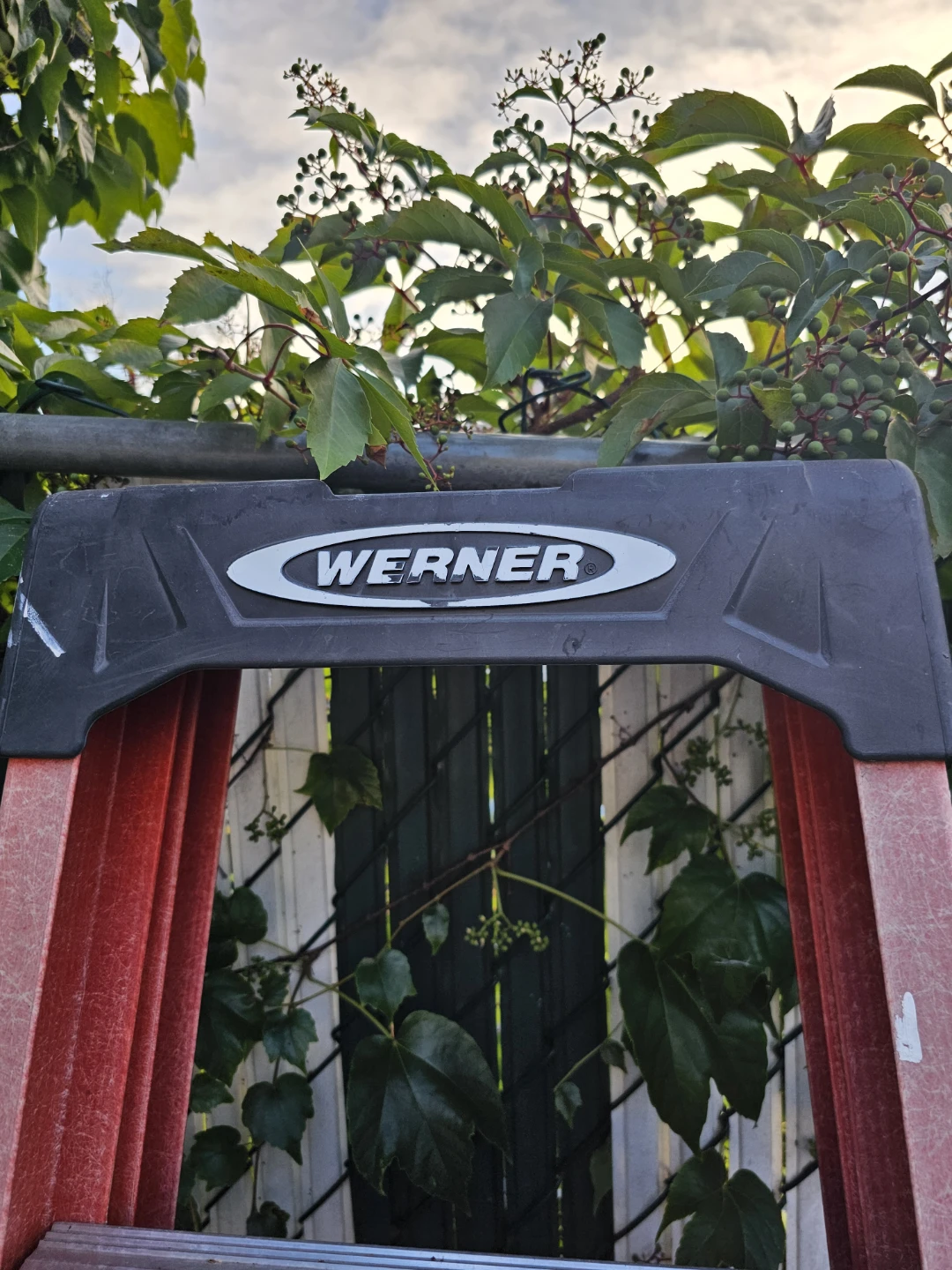 Werner Step Ladder