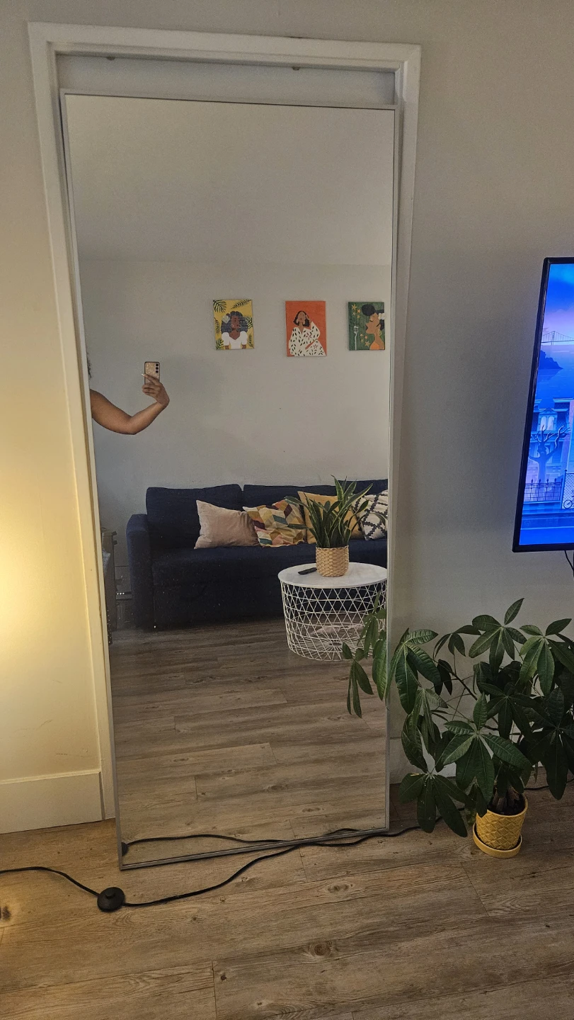 IKEA HOVET Full-Length Mirror – Aluminum Frame - photo 2