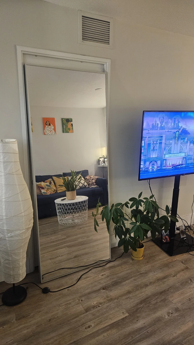 IKEA HOVET Full-Length Mirror – Aluminum Frame - photo 3