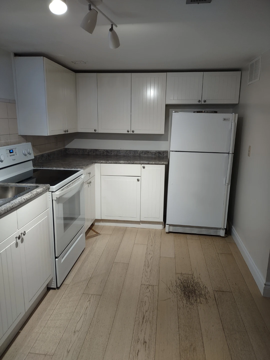 Alderwood Lower 1 Bedroom Apartment - photo 2