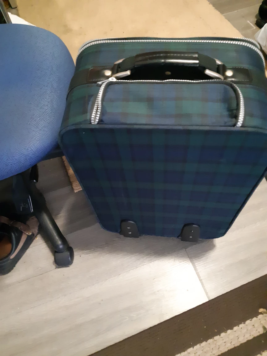 Alfred Sung Plaid Suitcase Set - photo 3