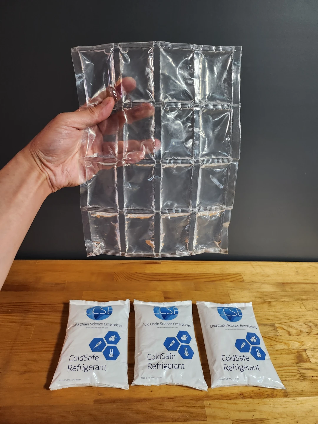 Cold Chain Science Enterprises ColdSafe Refrigerant Gel Packs - photo 2