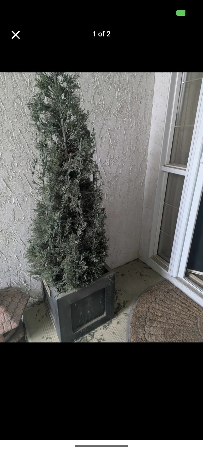 Artificial Potted Evergreen Tree about 70 inches tall