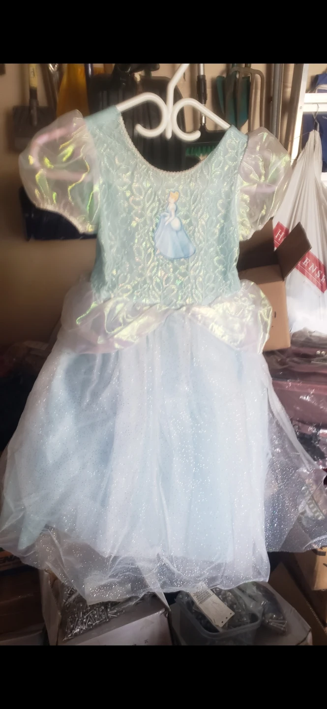 Princess Costume Dress with Cinderella Graphic