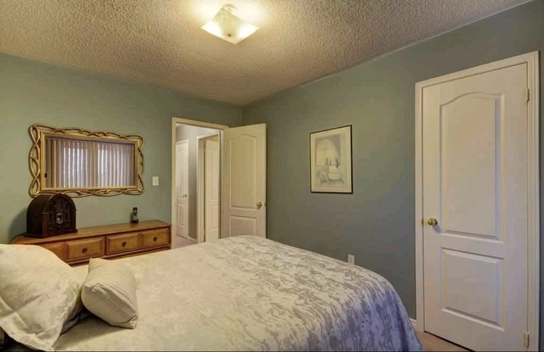 House for rent - photo 3