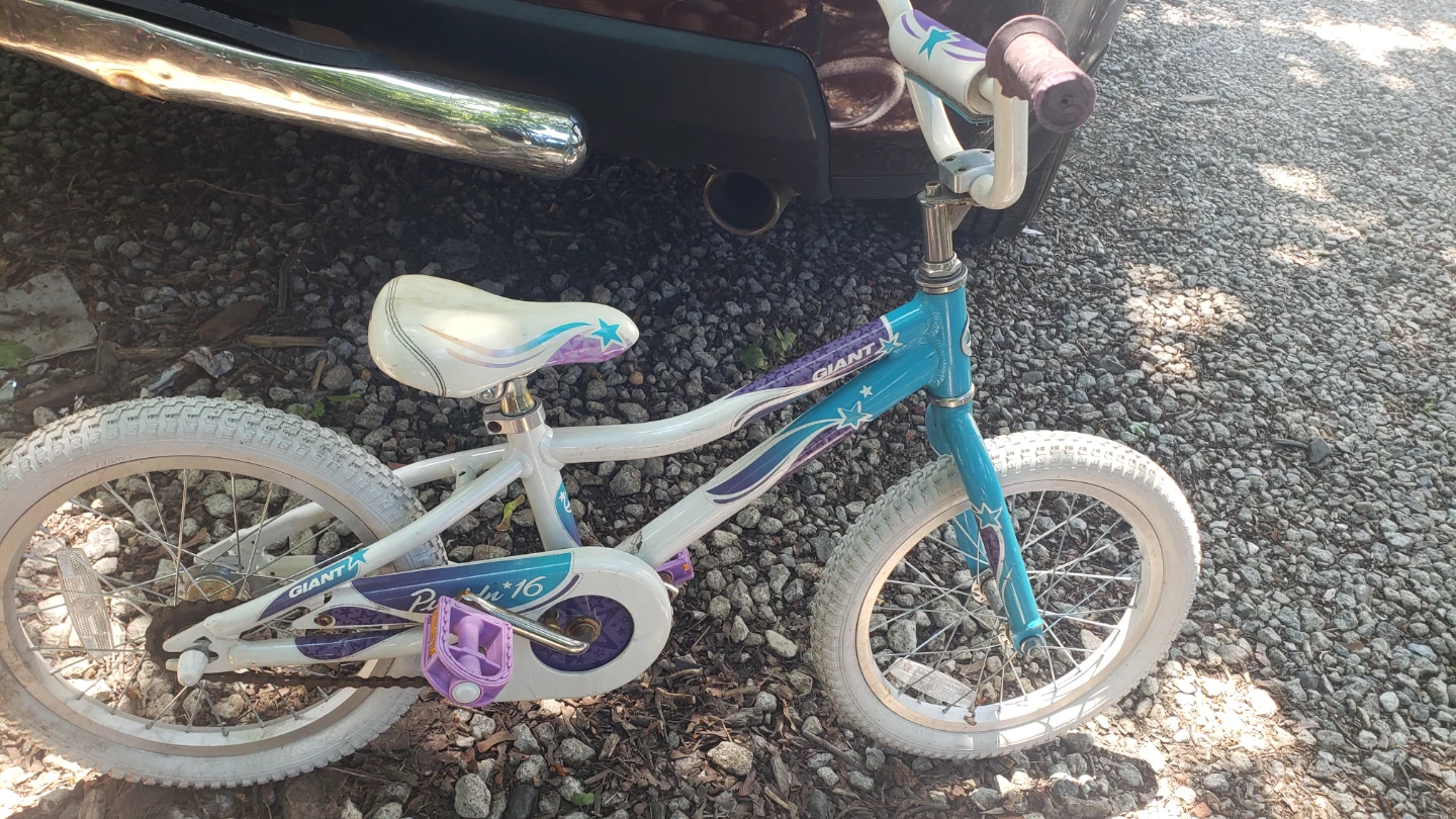 Giant Puddin' 16 Kids Bike - photo 2