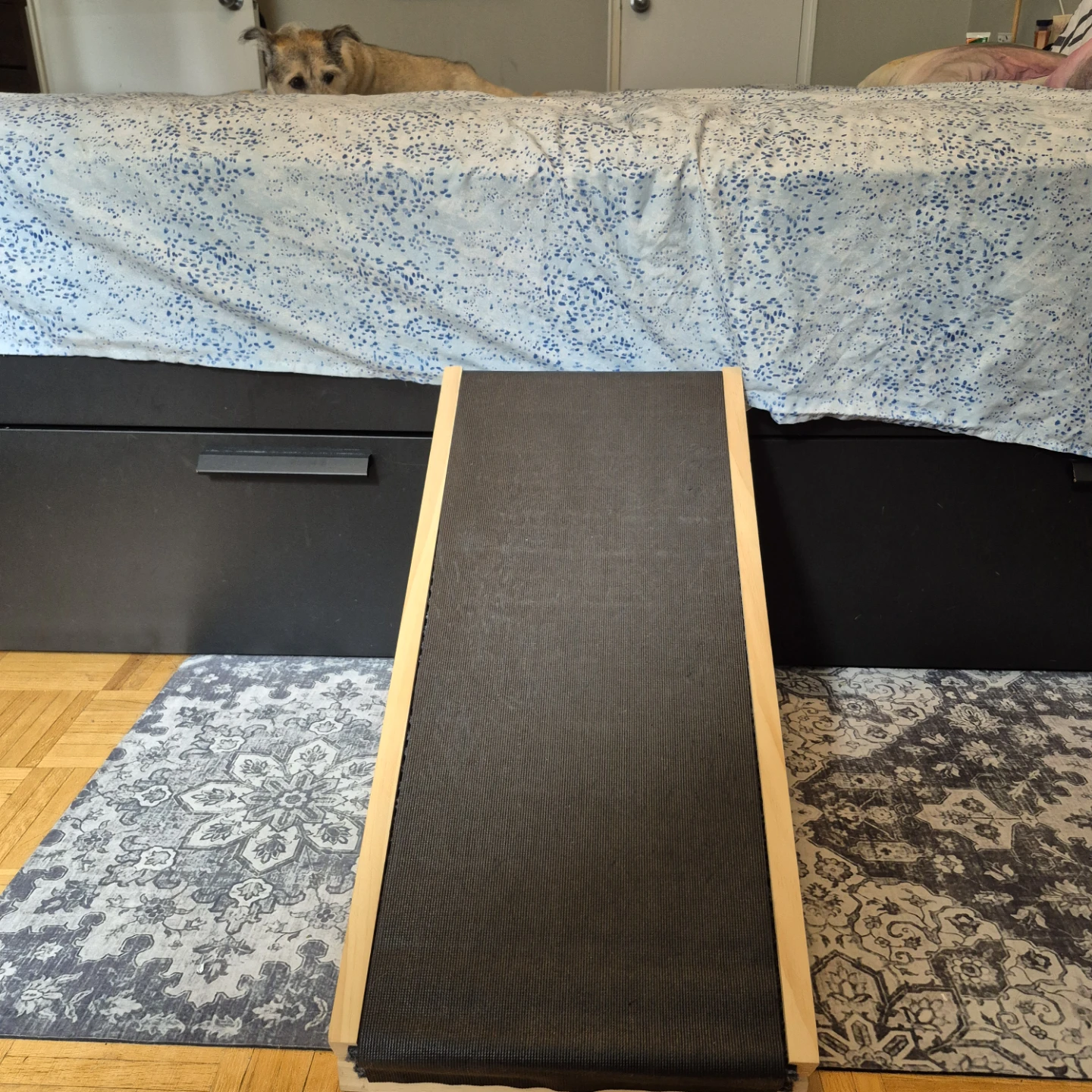 Dog ramp - photo 2