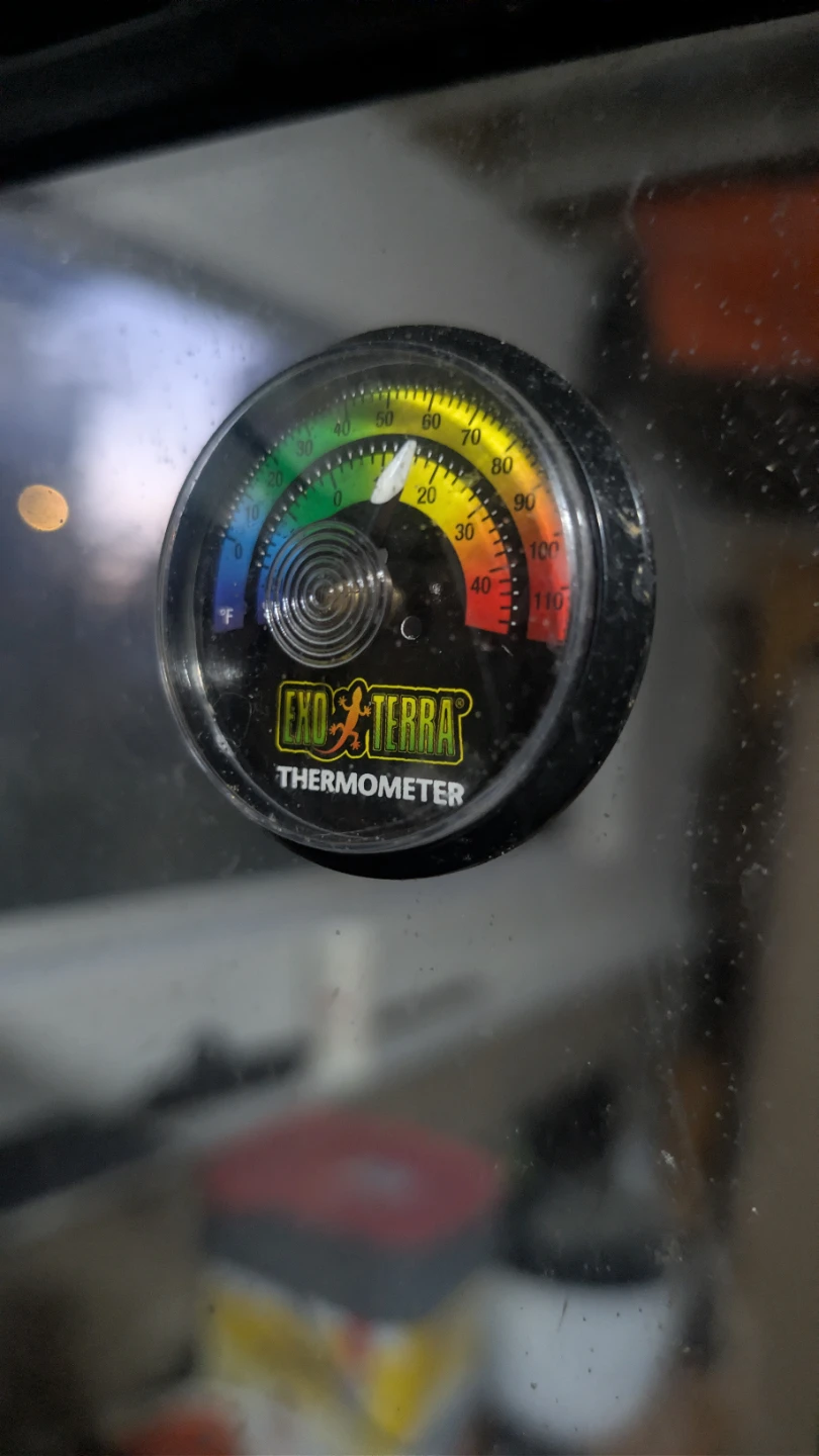 Exo Terra Terrarium with Thermometer - photo 4