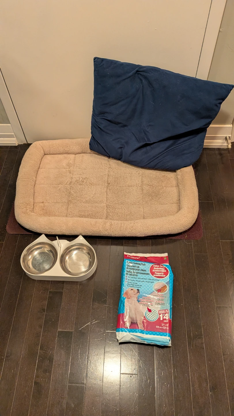 Training Pads, Dog Bed, Pillow and Bowls