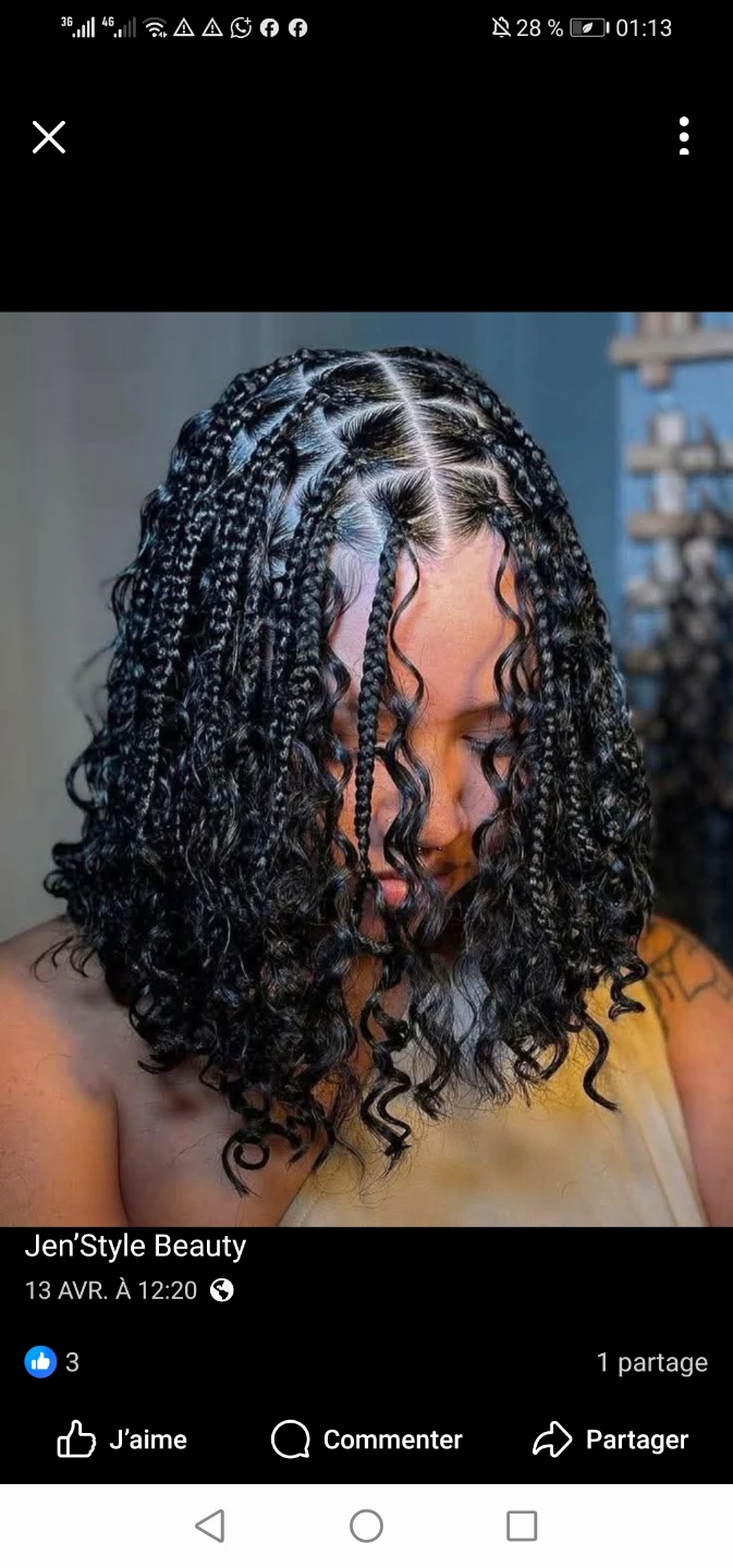 Braids - photo 5