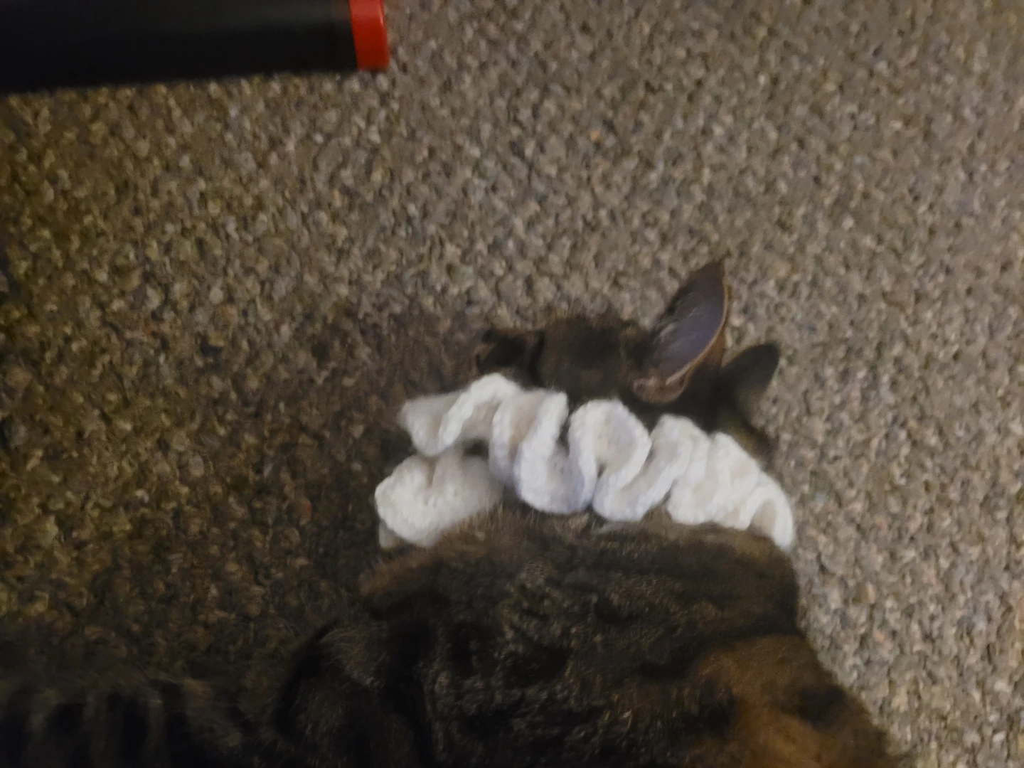 Crochet cat hat for medium sized cat heads - photo 3