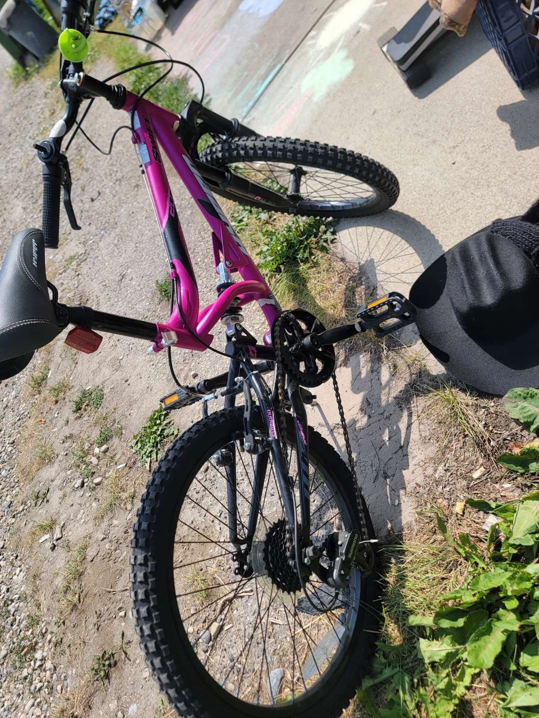 Hyper Swift Pink Girls Mountain Bike - photo 3
