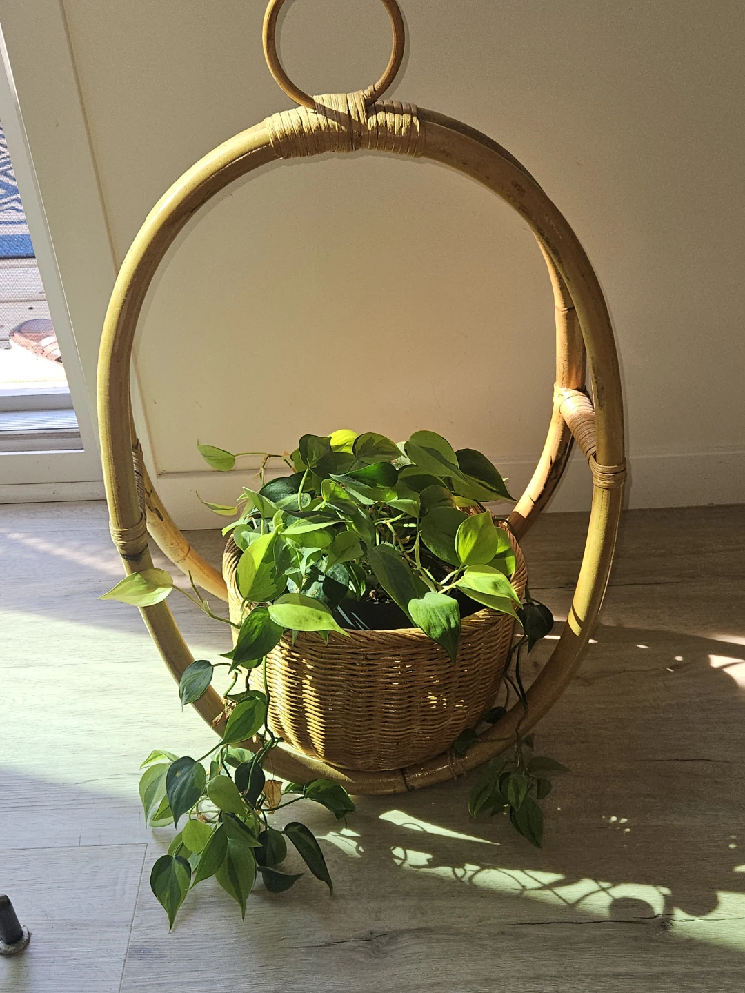 Rattan Hanging Plant Basket - photo 4