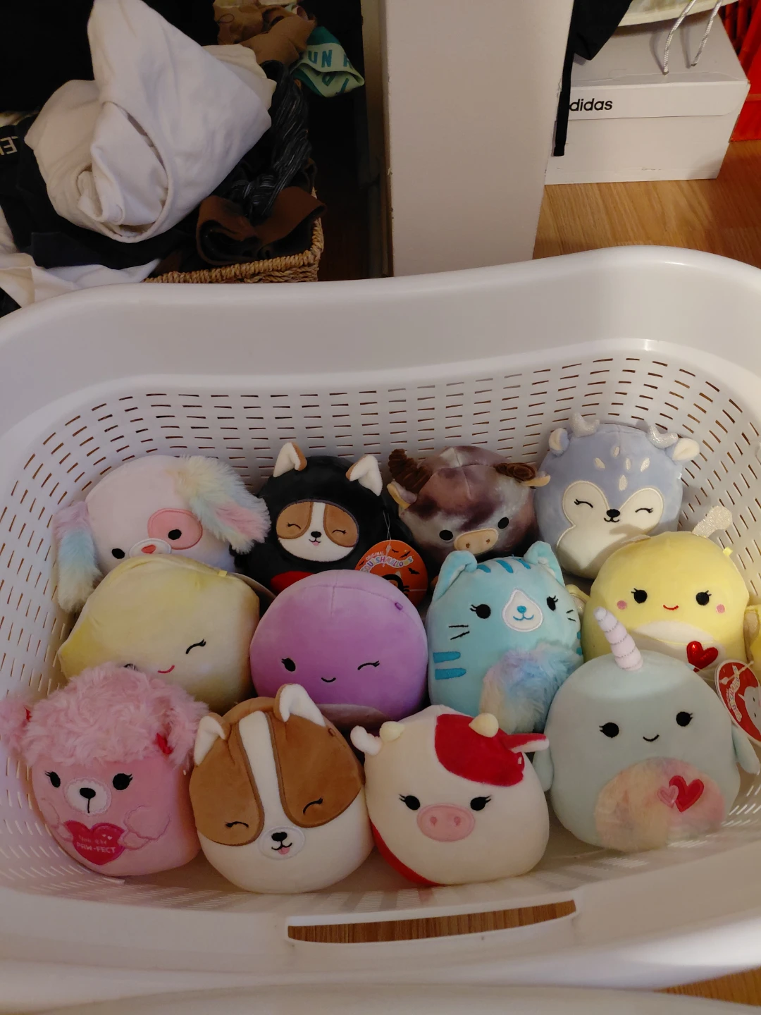 Squishmallows Plush Toys Assorted
