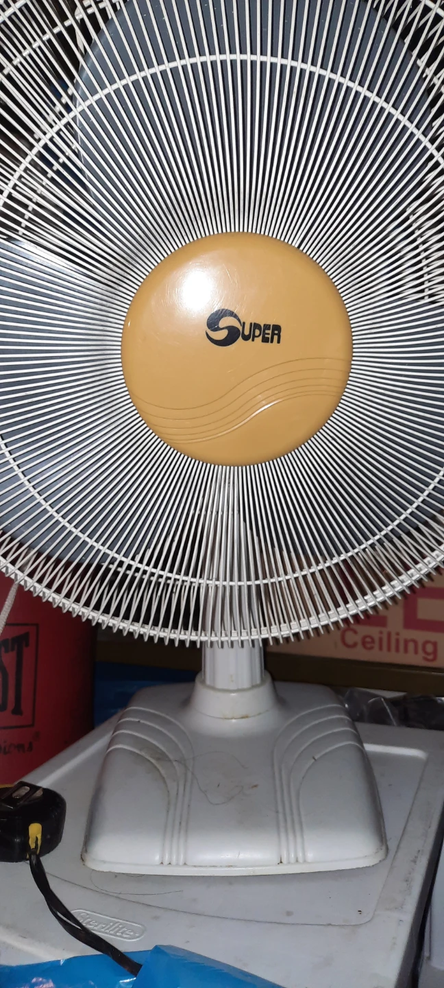 Super Brand Electric Fan