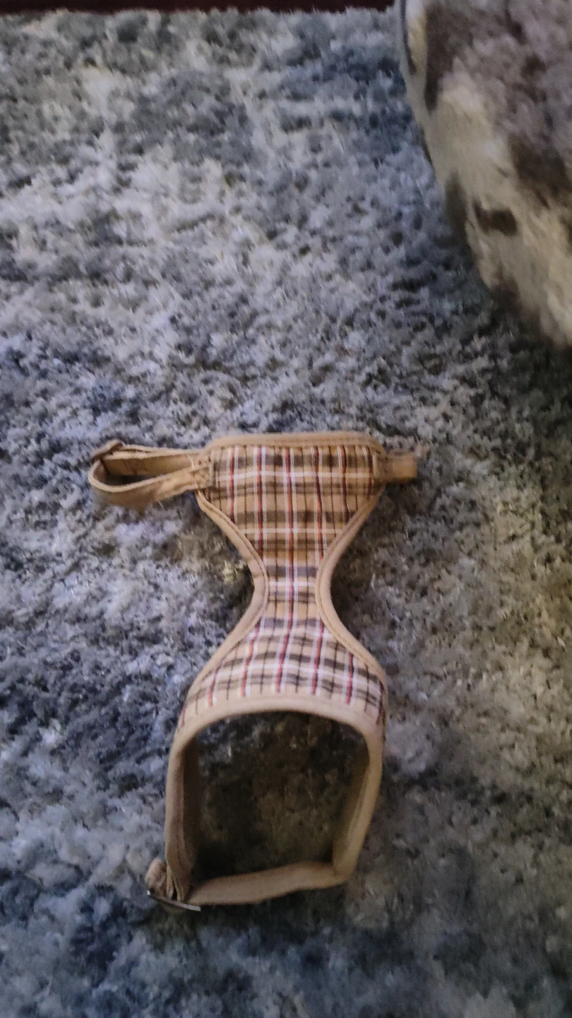 Pet Harness