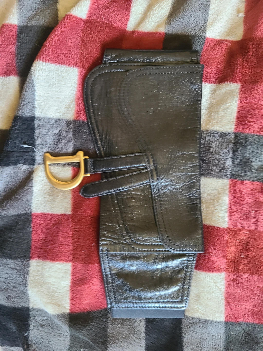 Dior Saddle Belt Bag Pouch