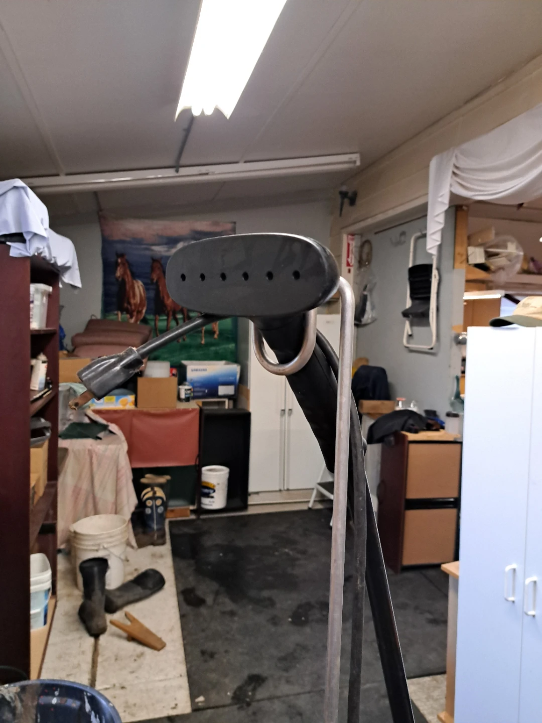 Garment Steamer
