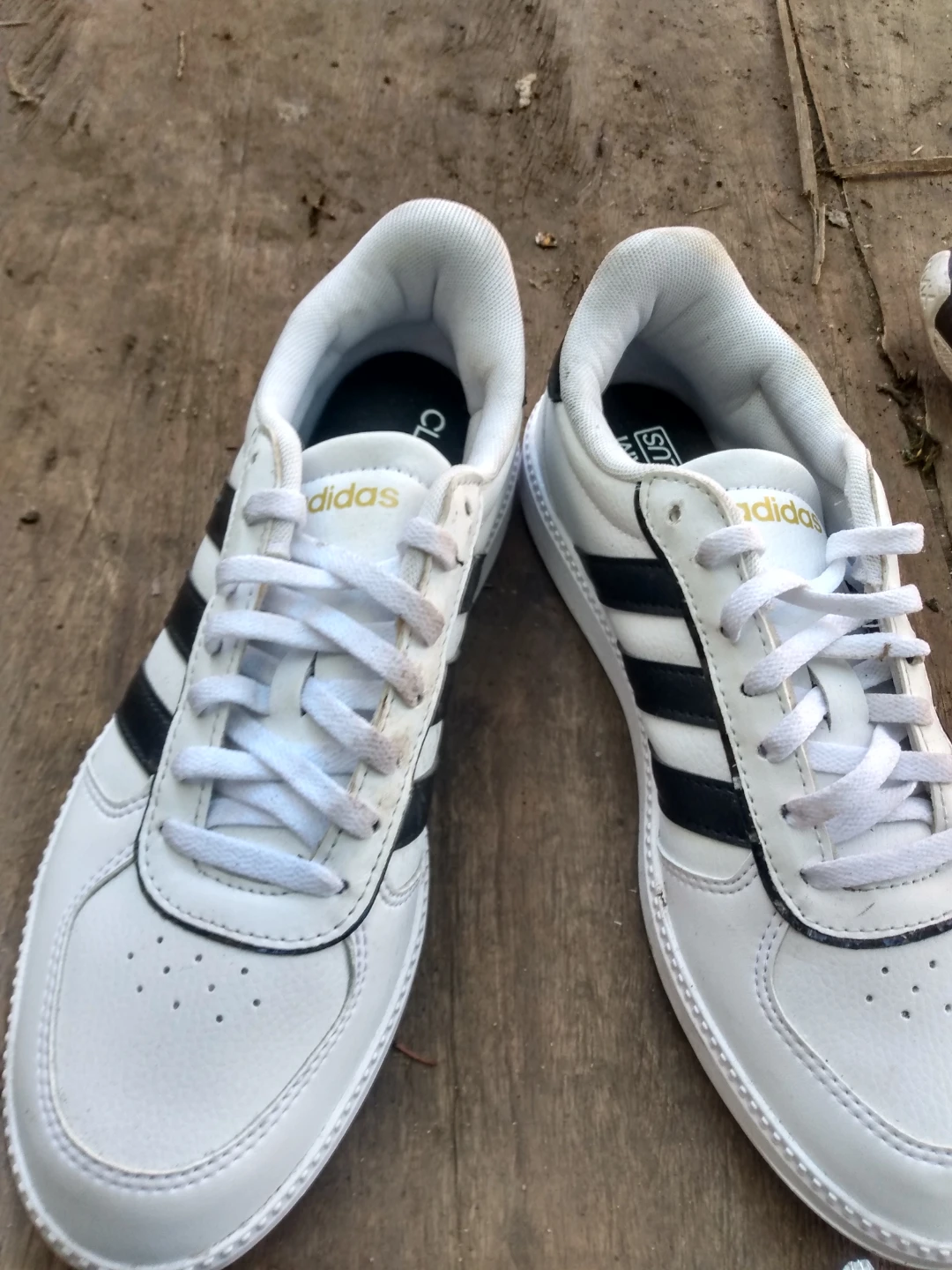 Adidas White & Black Sneakers