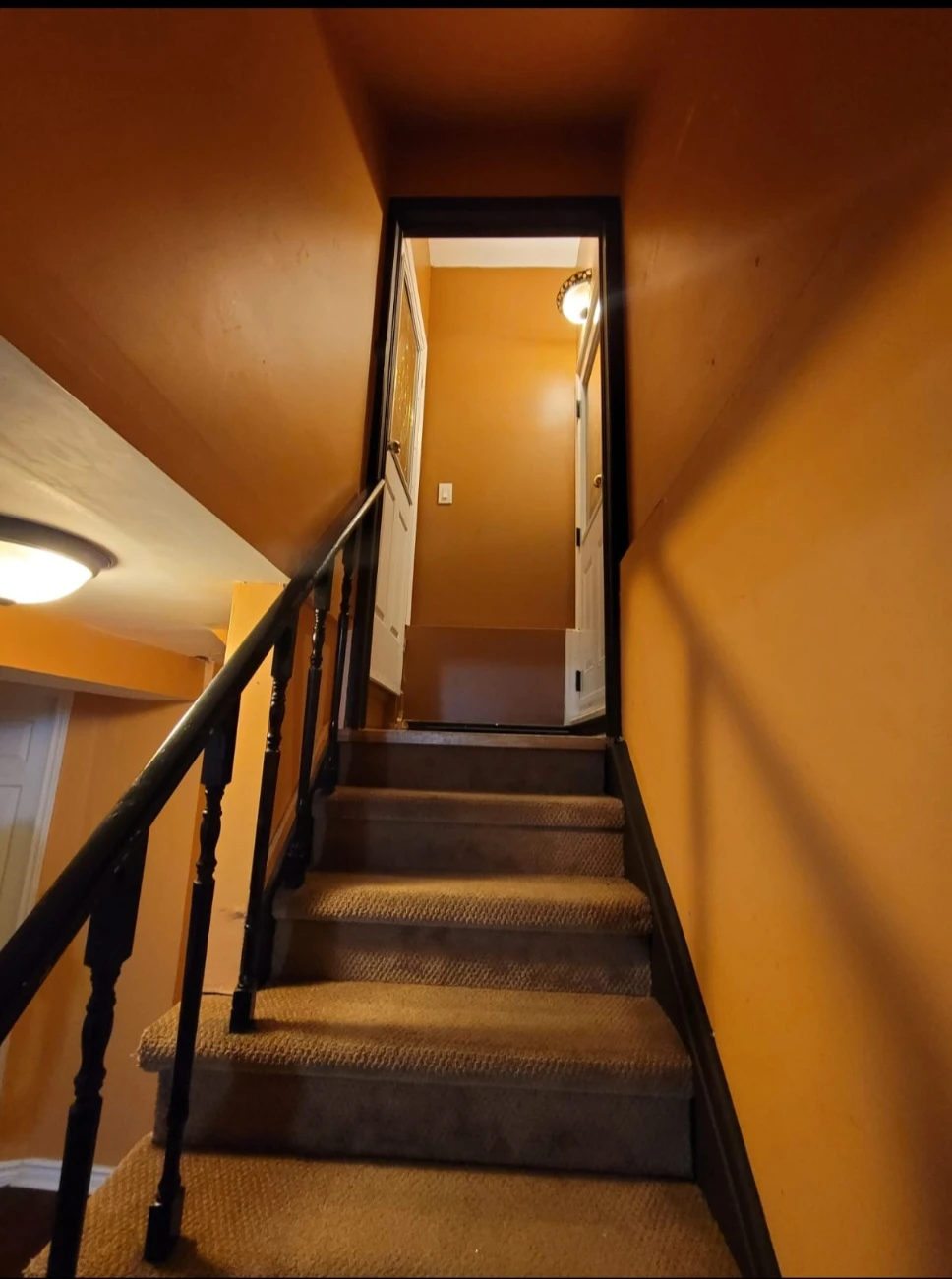 Basement for rent
