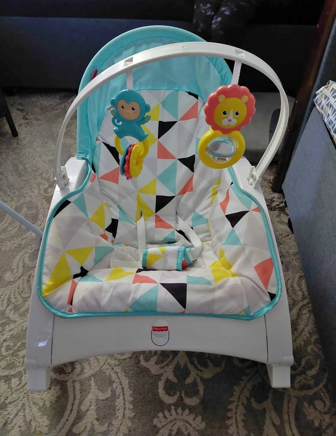 Fisher-Price Baby Rocker - photo 3