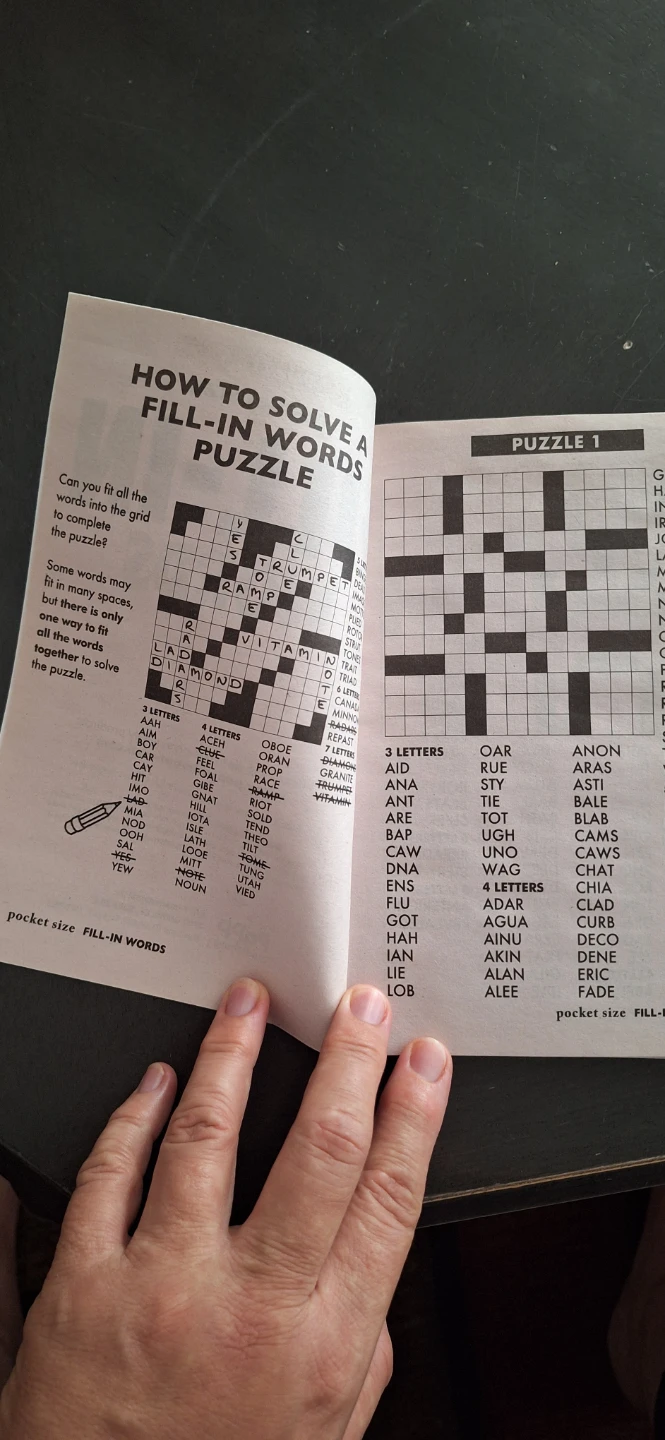 Pocket Size Fill-In Words Puzzle Book - photo 3