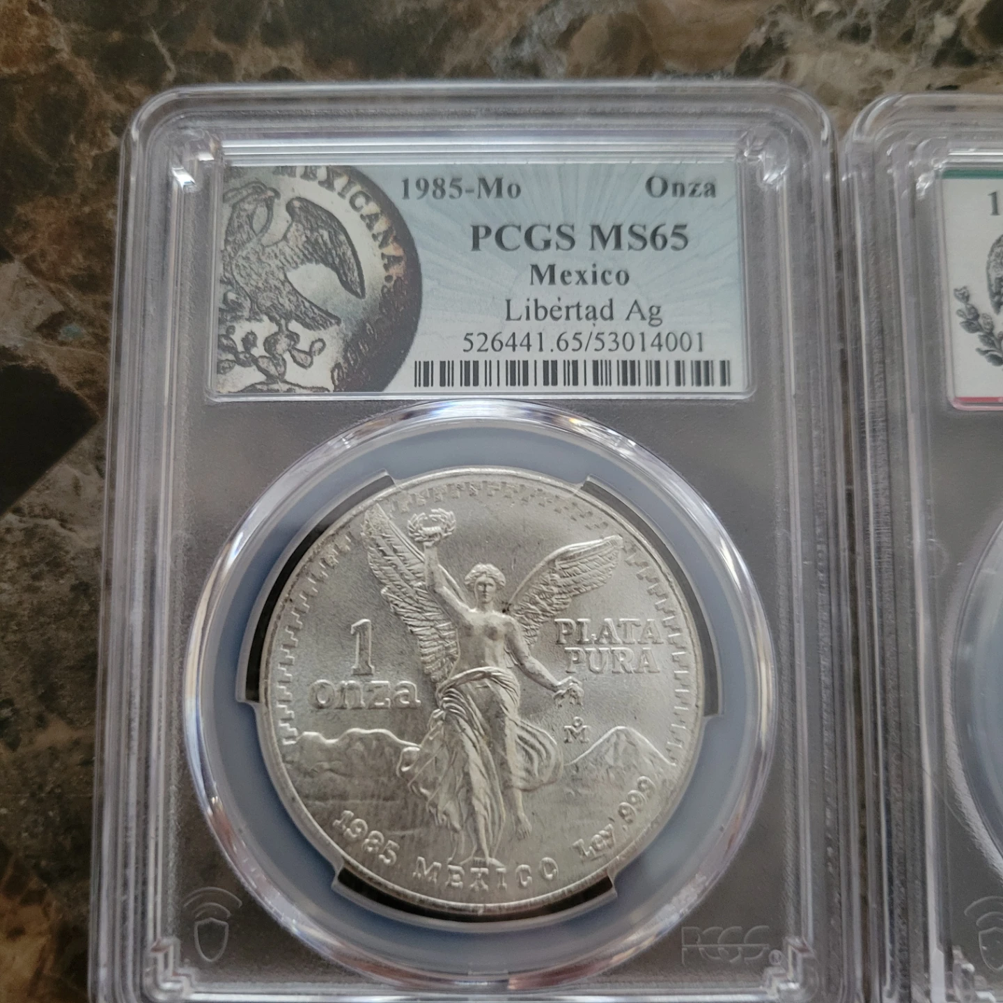 Collection of Graded Mexican Silver Libertad Coins - photo 4