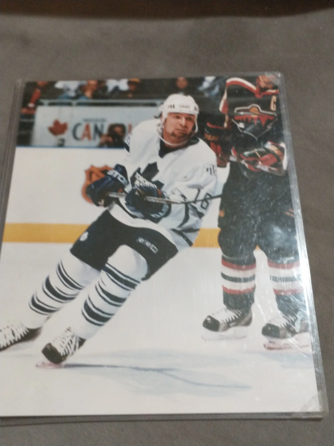 8 x 10" NHL Toronto Maple Leafs Darcy Tucker Hockey Photo - photo 4