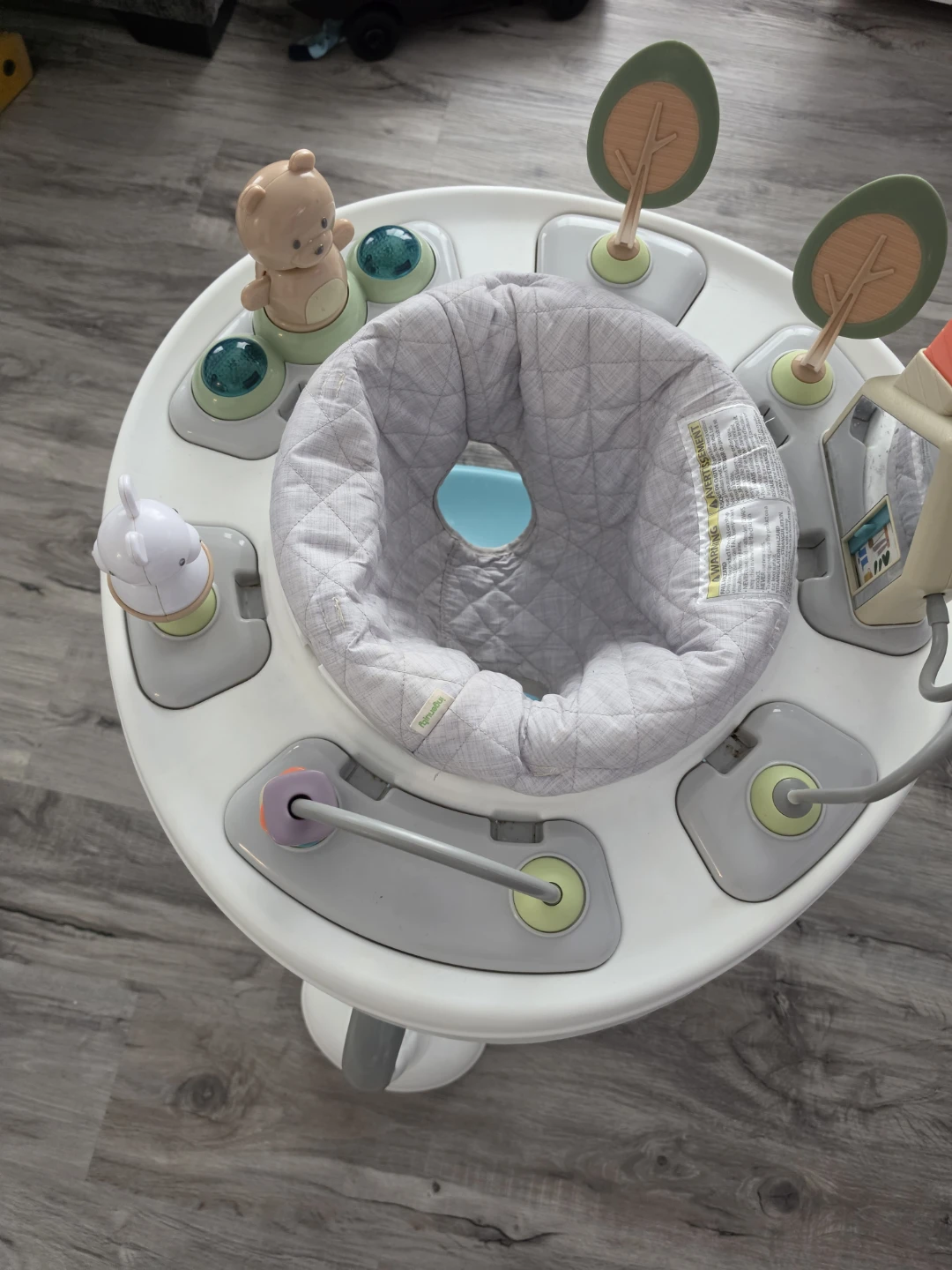 Baby Einstein Activity Jumper