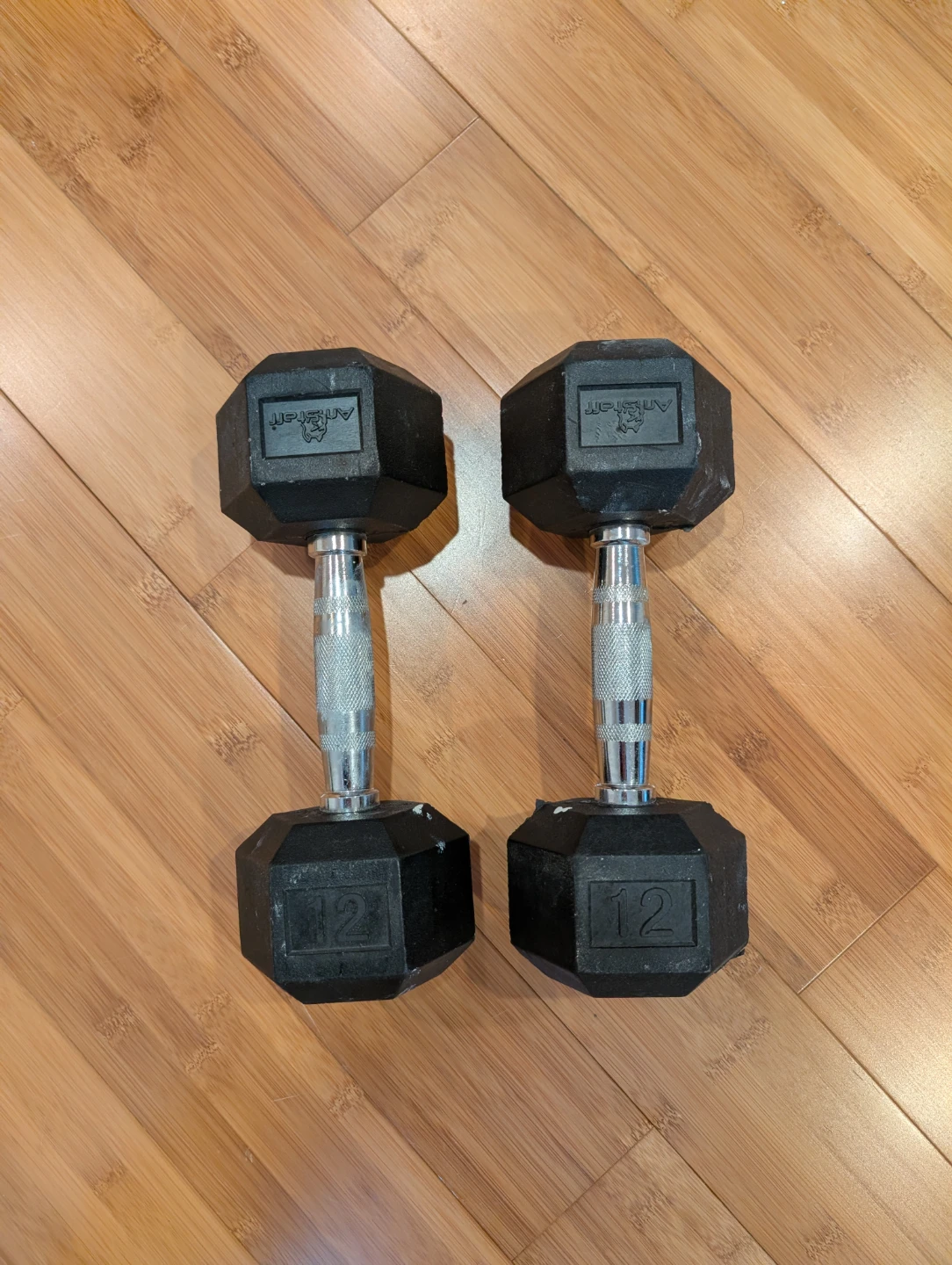 Ascent 12 lb Hex Dumbbells (Pair)