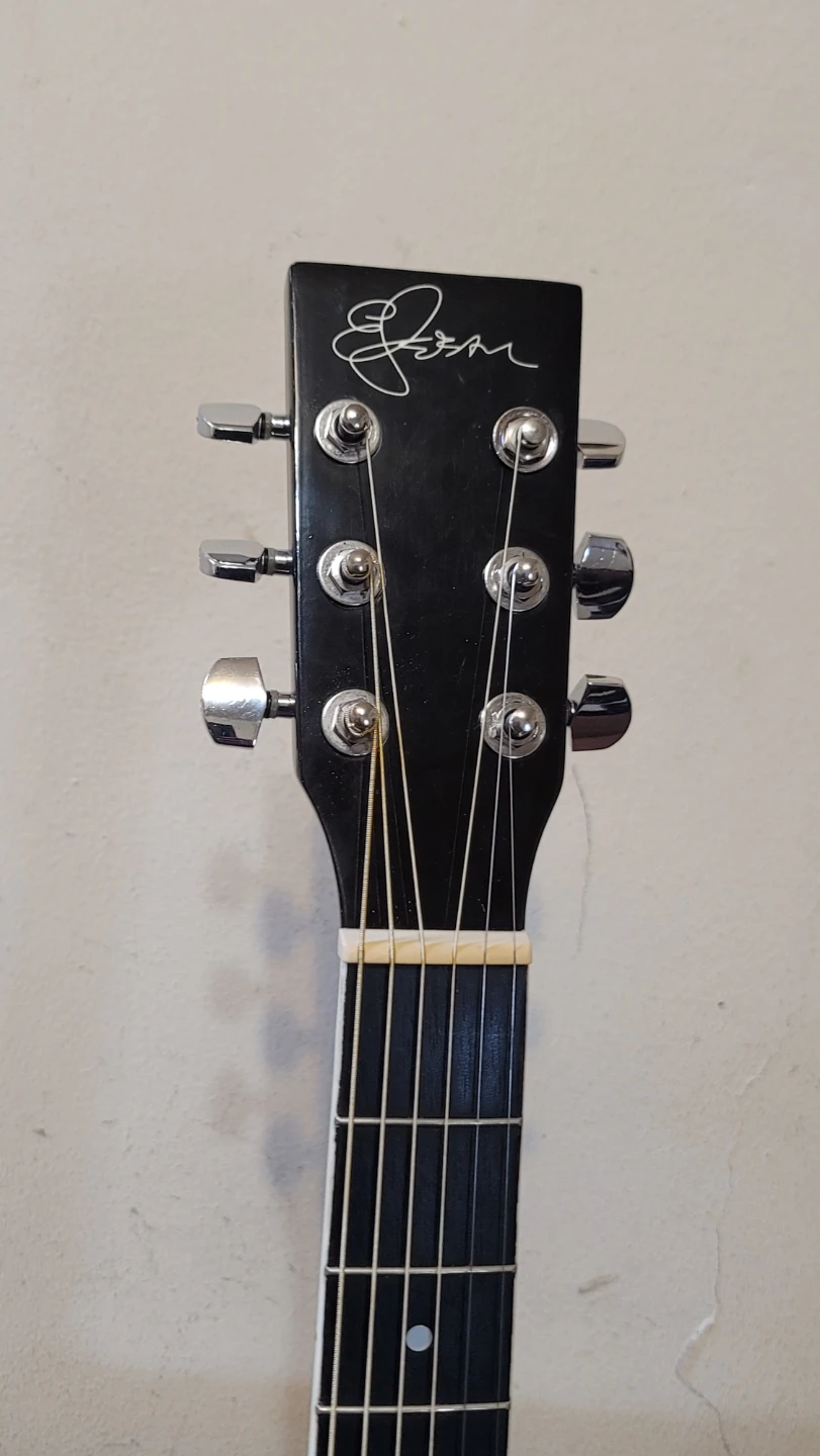 ESTEBAN AMERICA LEGACY MASTER CLASS ACOUSTIC ELECTRIC GUITAR - photo 3