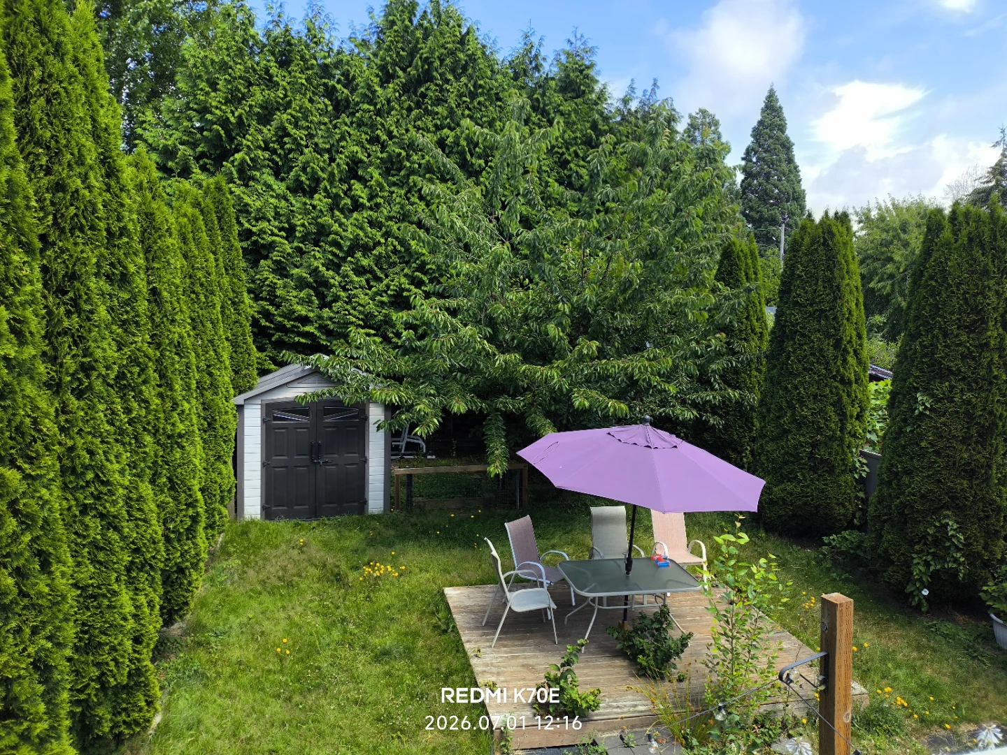 5 bedrooms house in White Rock for rent/near Earl Marriott
