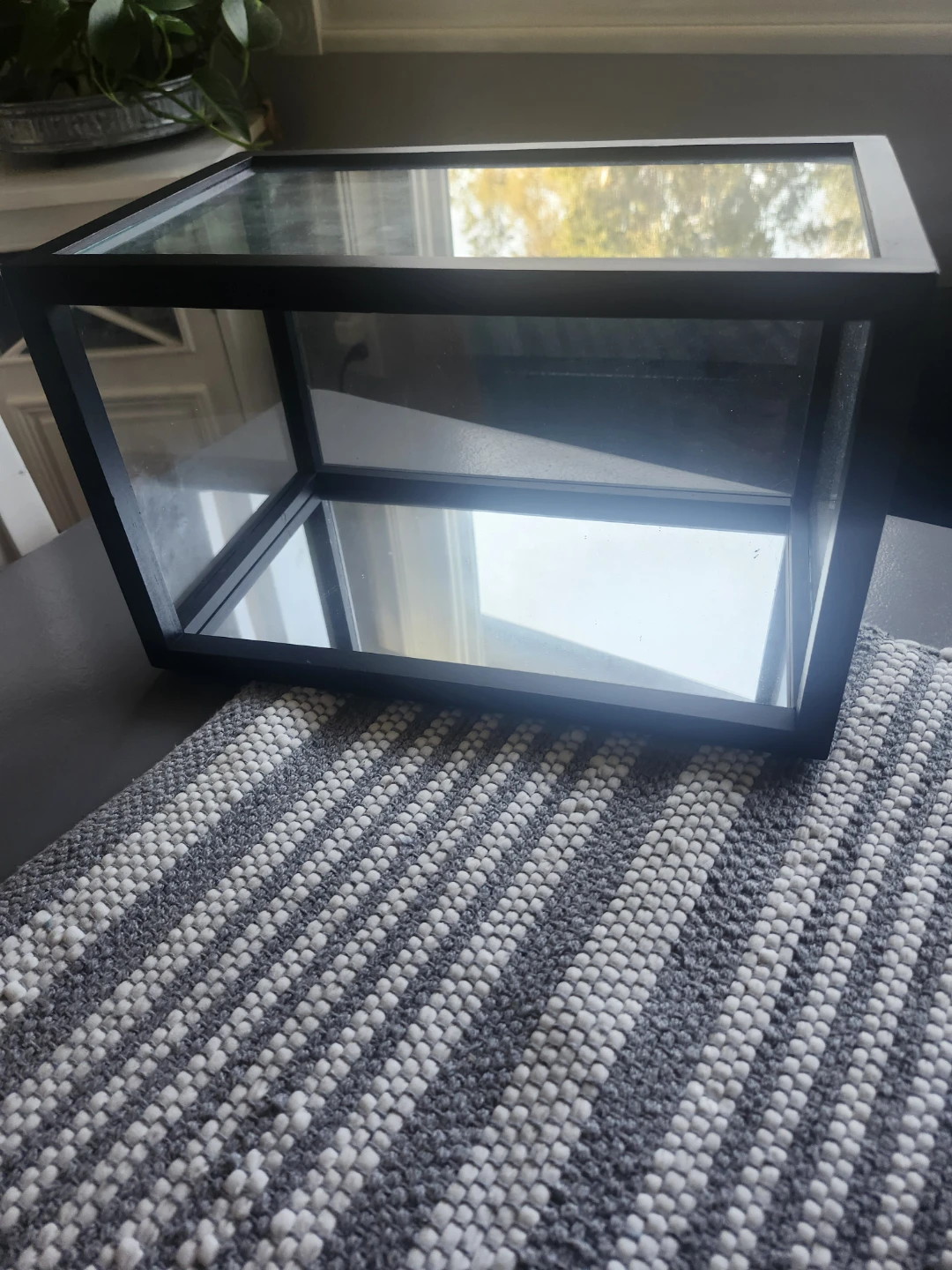 Glass Terrarium or Display Box - photo 3