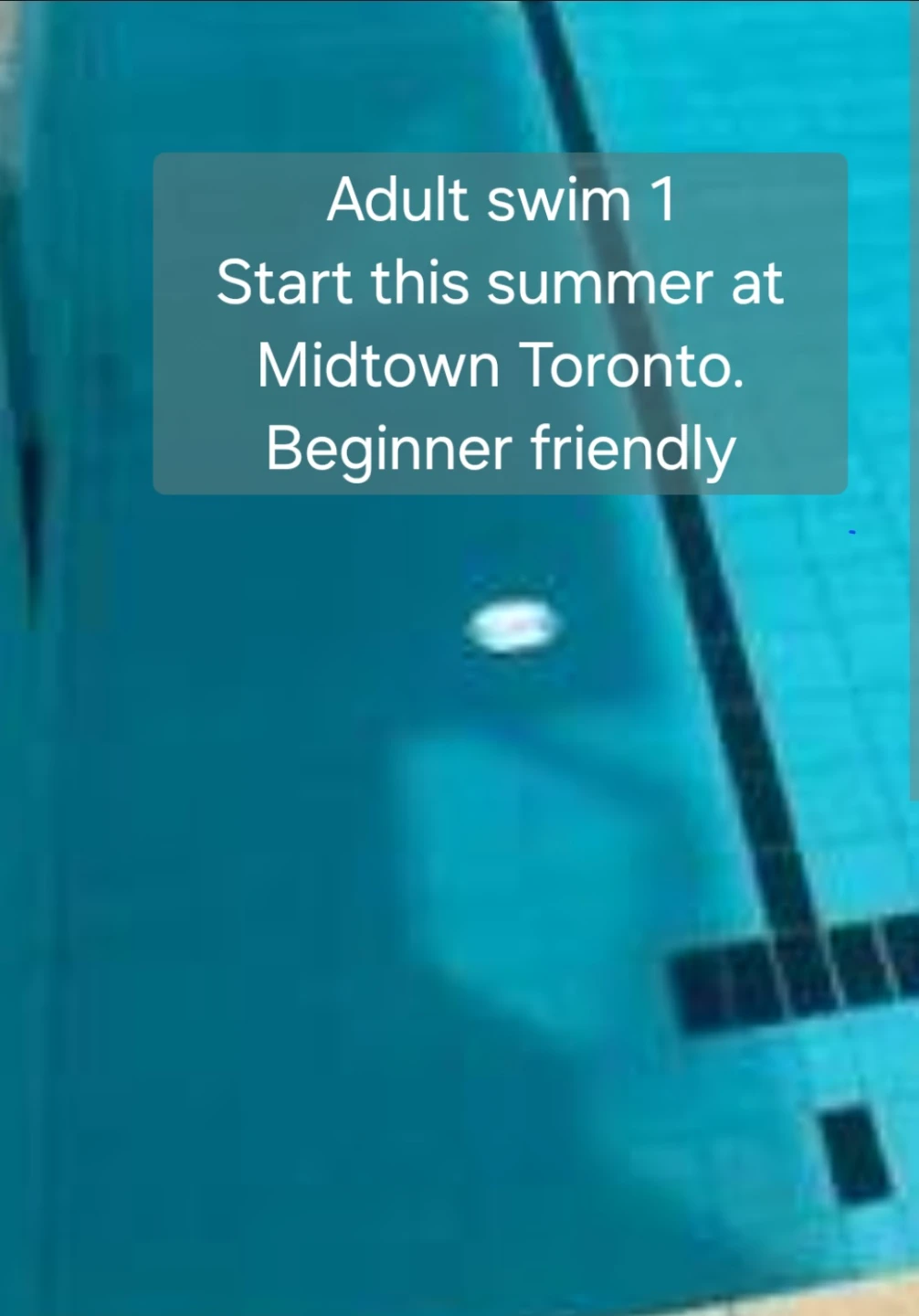 *Adults *#swim# 1