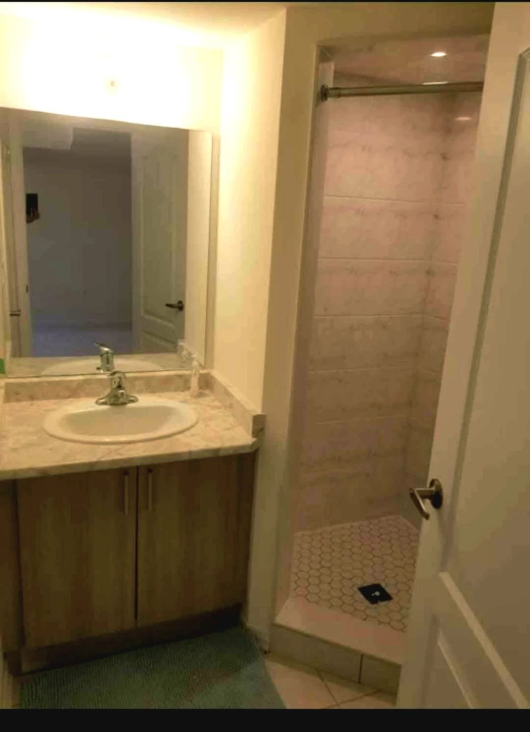 One Bedroom apartment for rent - photo 4