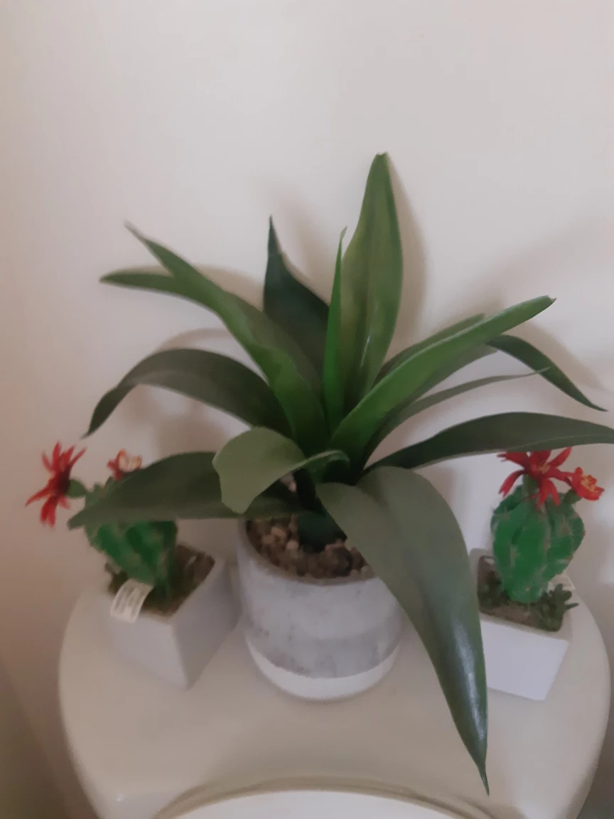 Artificial Potted Plants with Cacti