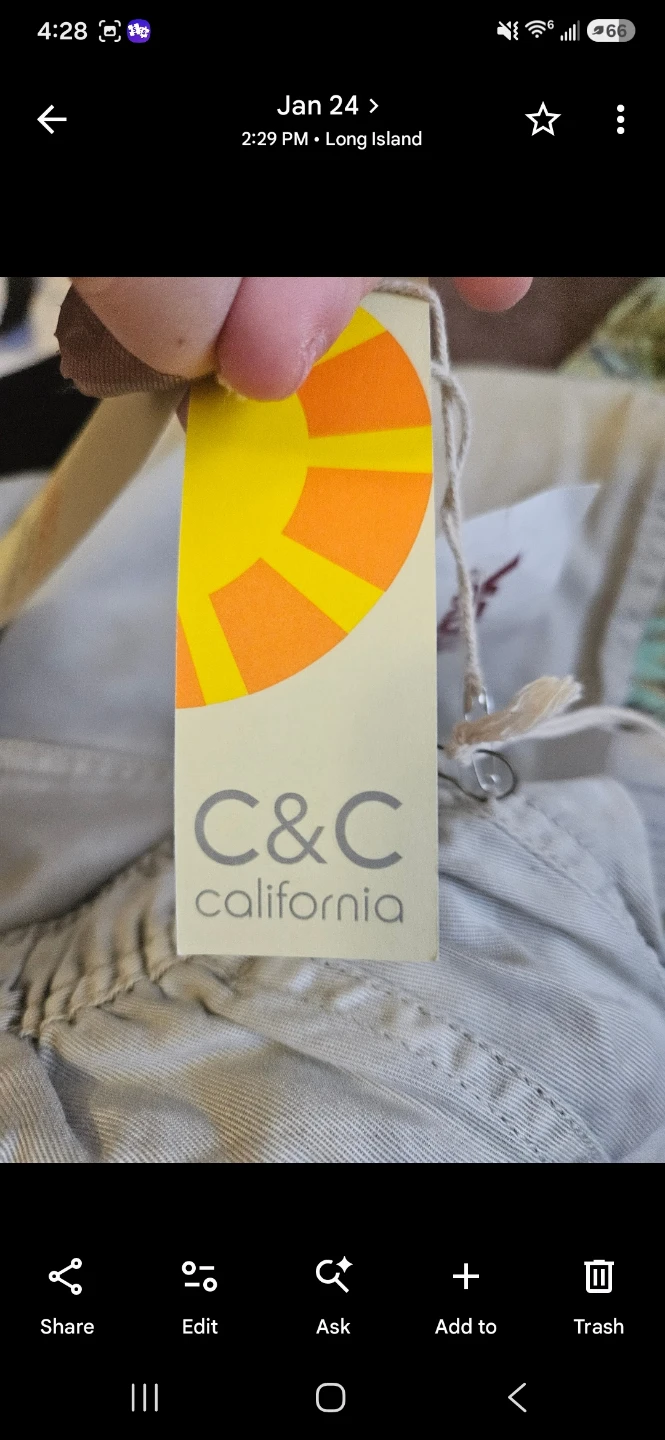 C&C California Lyocell Cargo Pants - photo 5