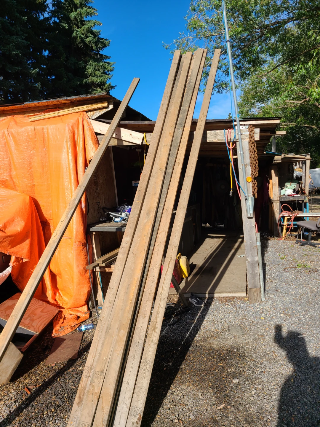 2x4(16 Ft, Spruce)7 Pieces.