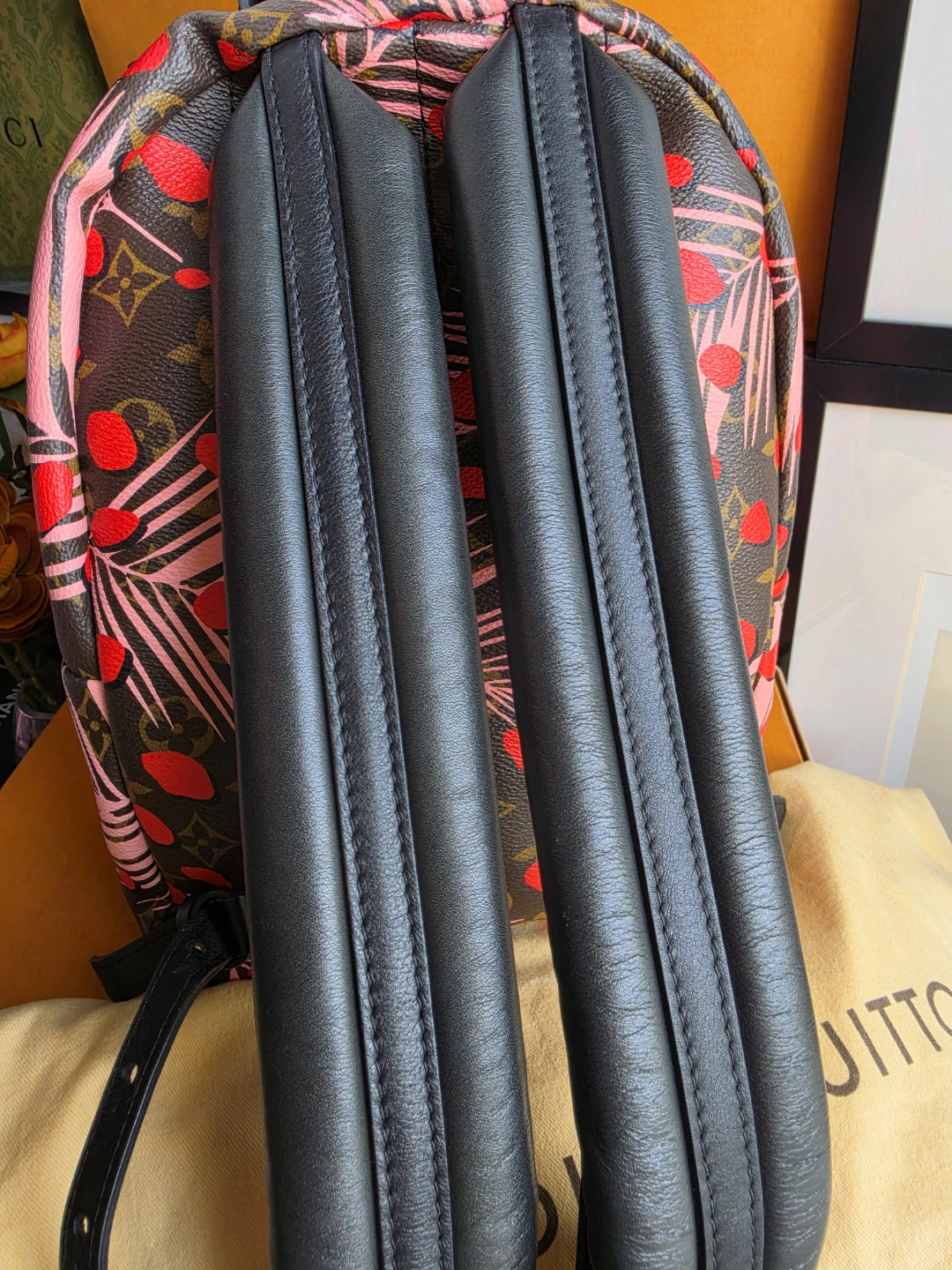 Limited Edition Palm Springs LV - photo 3