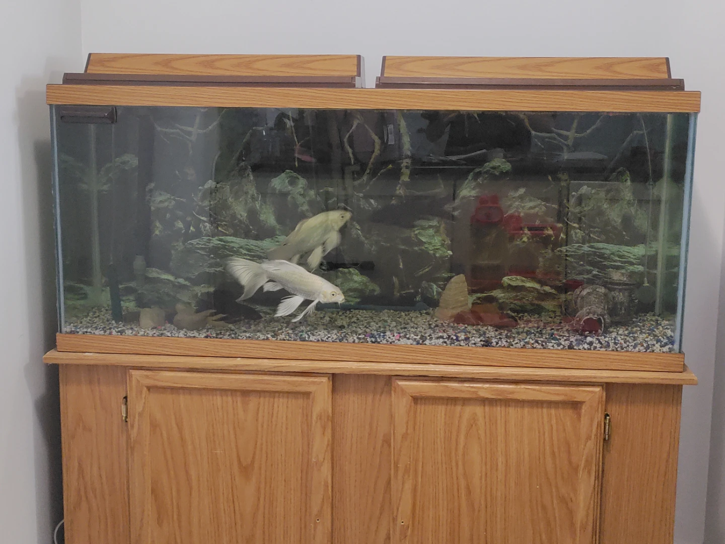 Aquarium Tank - photo 2