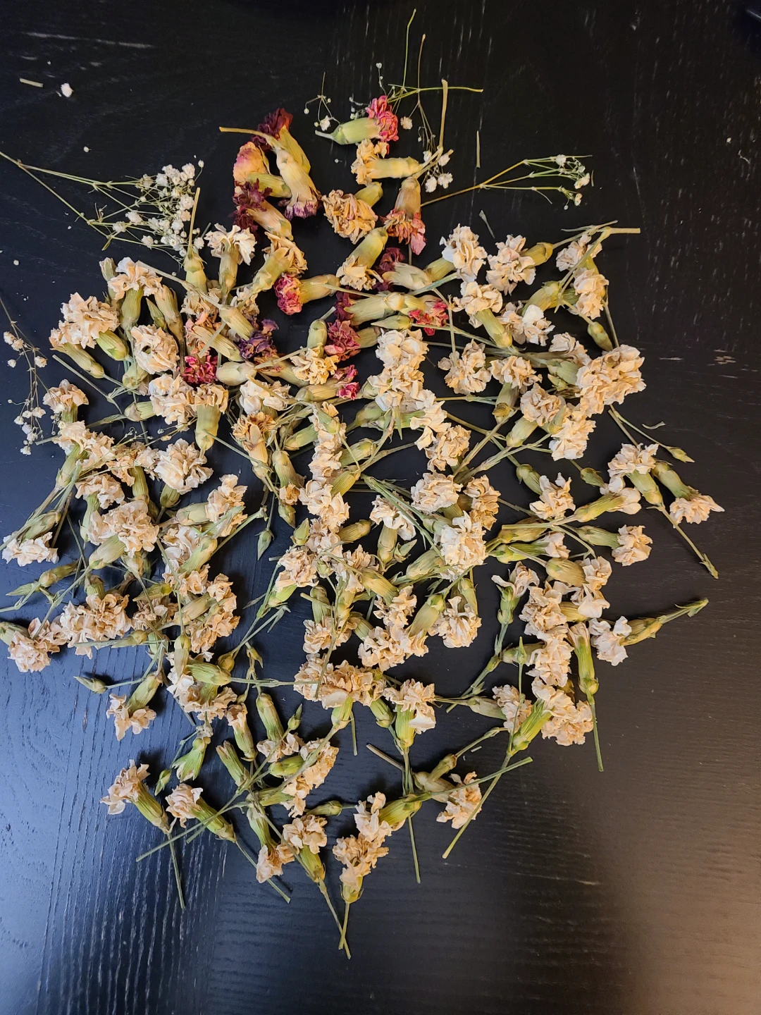 Dried Carnations and Baby's Breath Bundle